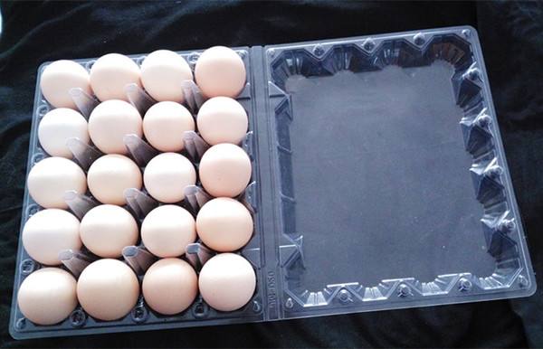 蛋托厂--塑料鸡蛋托的优点