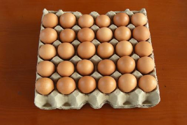 蛋托机生产的纸模有什么特性